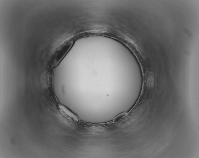 X0000111451448200907271221