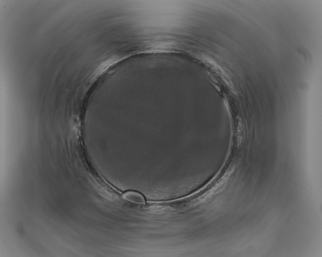 X0000111451449200907271221