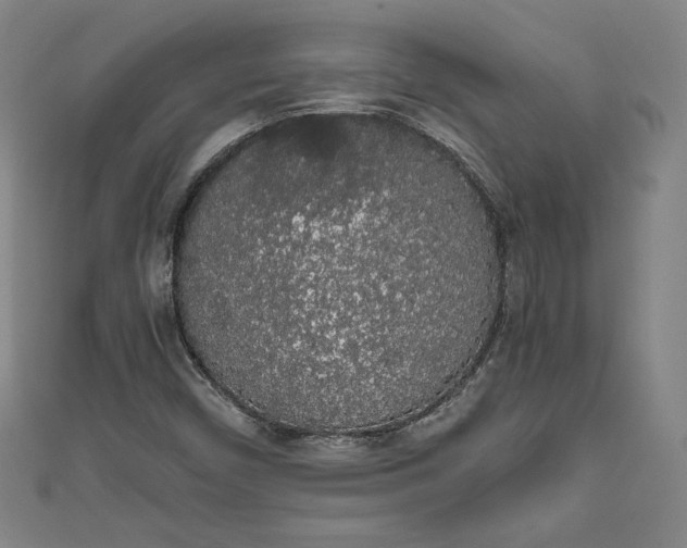 X0000111451450200907271221