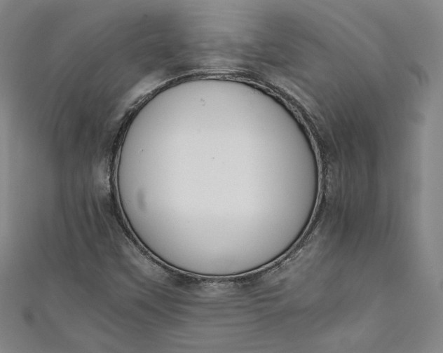 X0000111451451200907271221