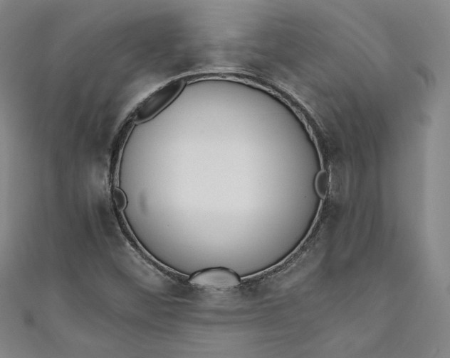 X0000111451452200907271221