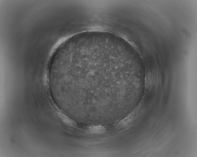 X0000111451454200907271221