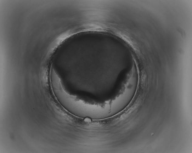 X0000111451455200907271221