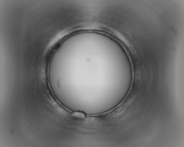 X0000111451456200907271221