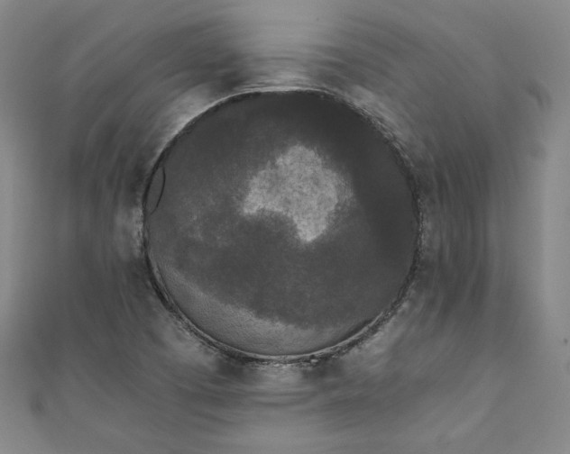 X0000111451457200907271221