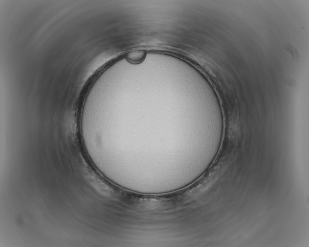 X0000111451458200907271221