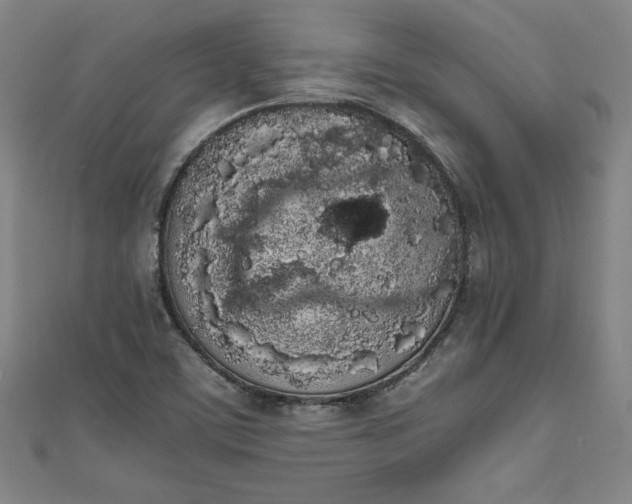 X0000111451459200907271221