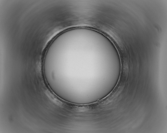 X0000111451460200907271221