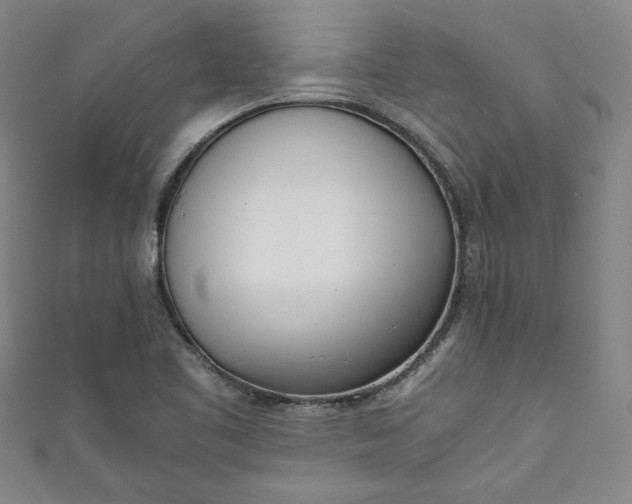 X0000111451461200907271221