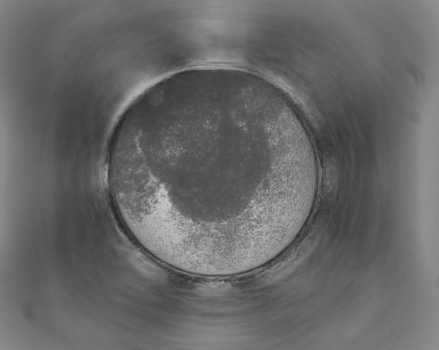 X0000111451462200907271221