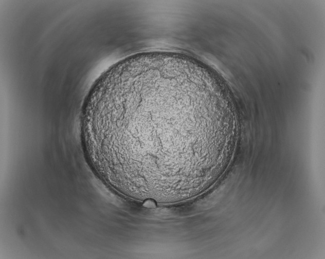 X0000111451463200907271221