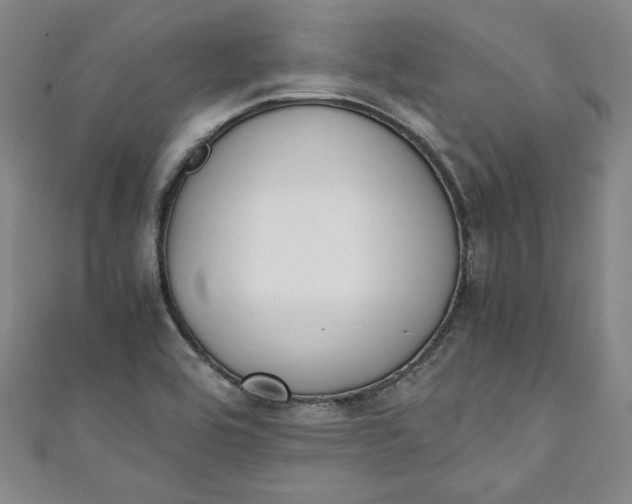 X0000111451464200907271221