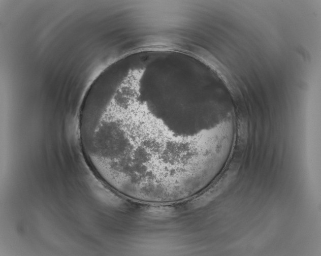 X0000111451466200907271221