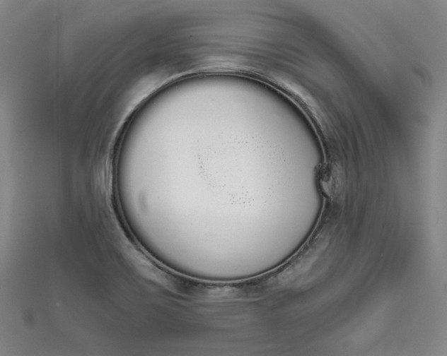 X0000111451467200907271221