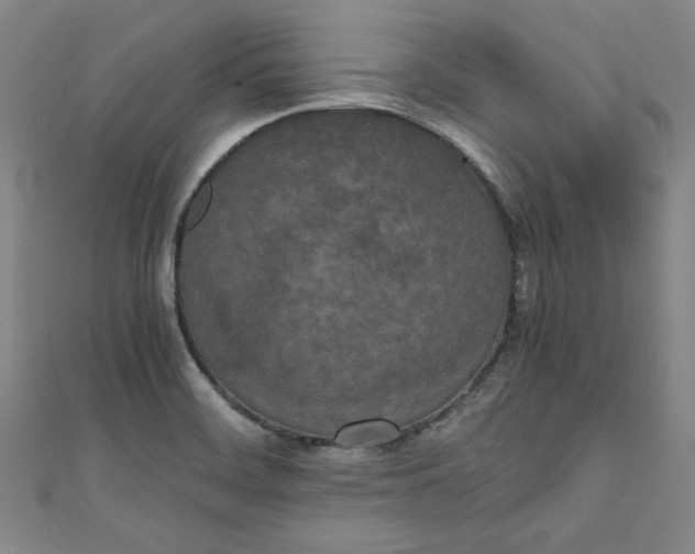 X0000111451468200907271221