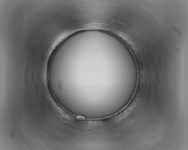 X0000111451469200907271220