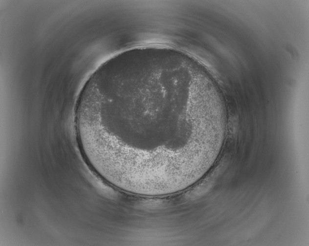 X0000111451470200907271220