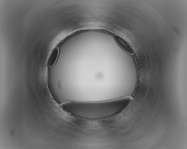 X0000111451472200907271220