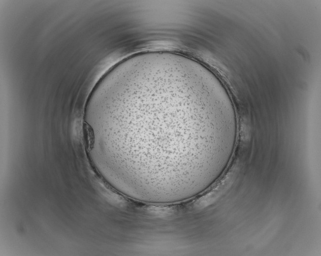 X0000111451473200907271220