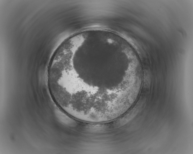 X0000111451474200907271220