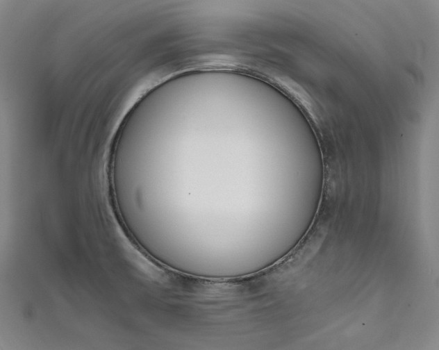 X0000111451475200907271220