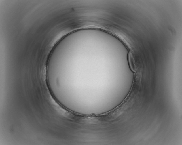 X0000111451476200907271220