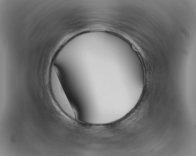 X0000111451477200907271220