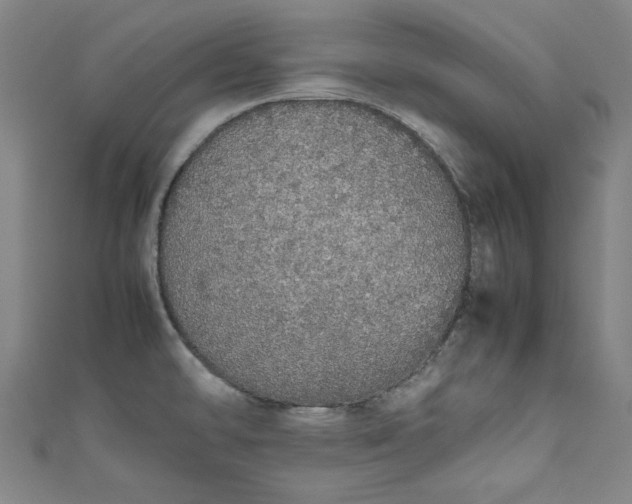 X0000111451478200907271220