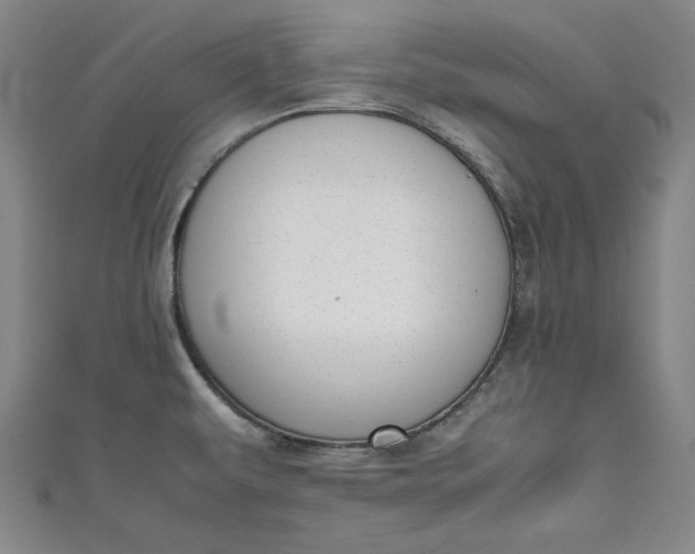 X0000111451479200907271220