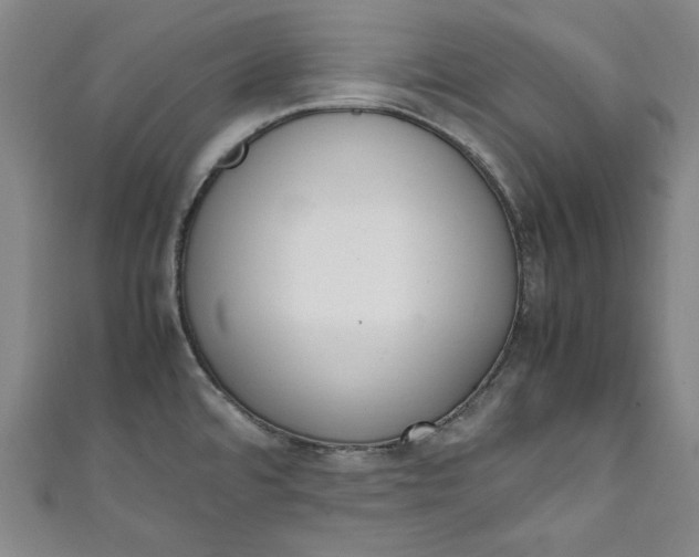 X0000111451480200907271220