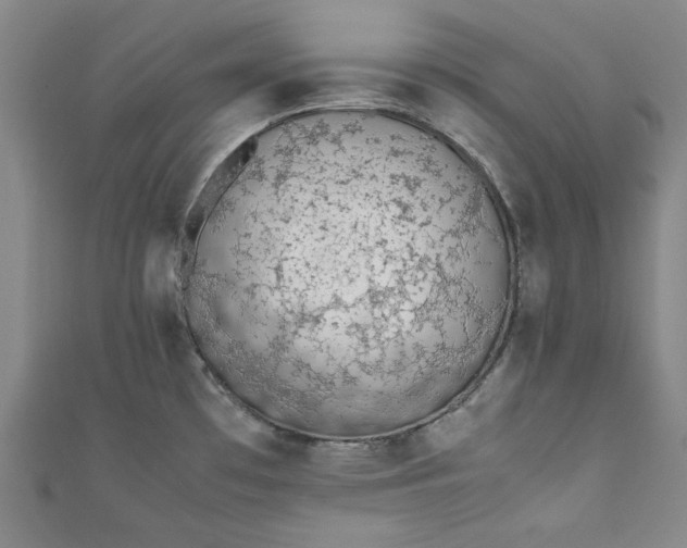 X0000111451481200907271220