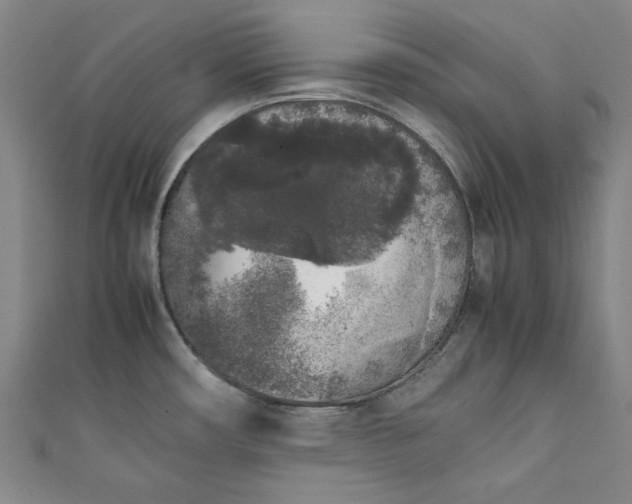 X0000111451482200907271220