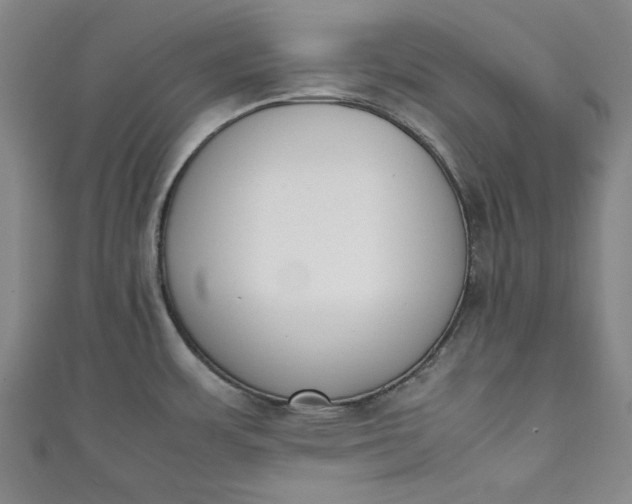 X0000111451483200907271220