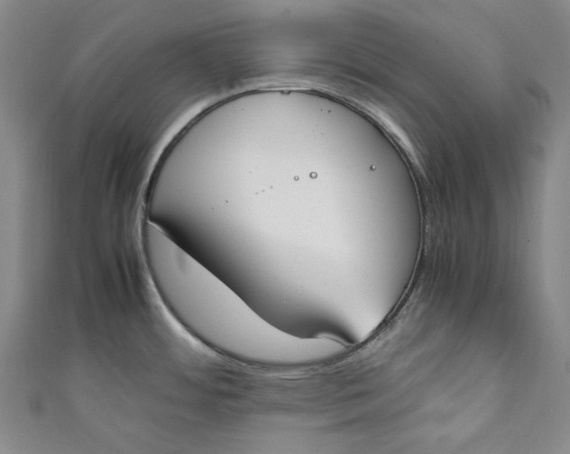X0000111451484200907271220