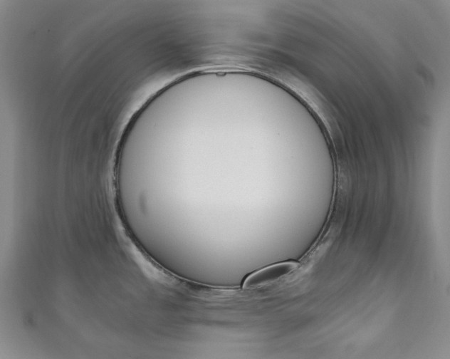 X0000111451485200907271220