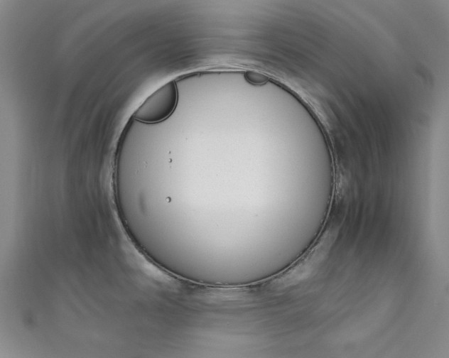 X0000111451486200907271220