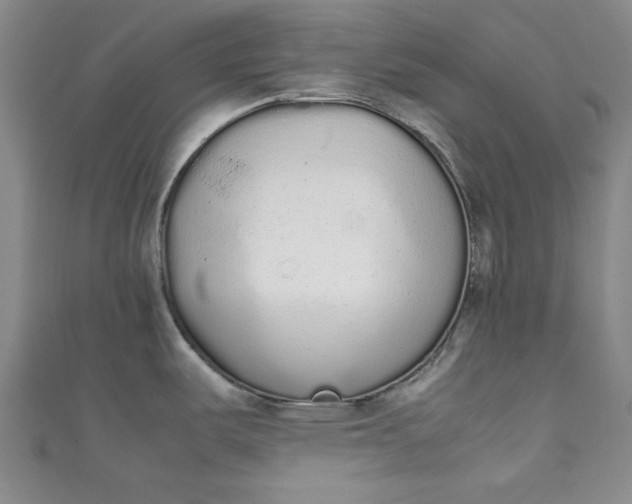 X0000111451487200907271220