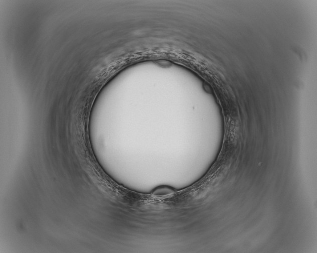 X0000111451489200907271220