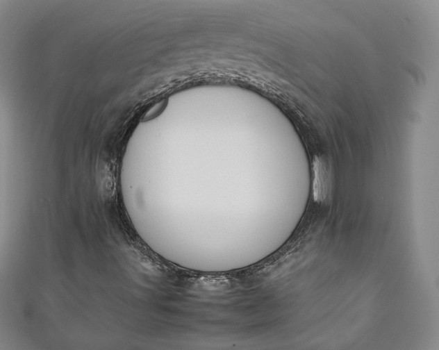 X0000111451491200907271220