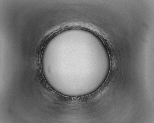X0000111451494200907271220