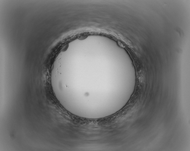 X0000111451495200907271220