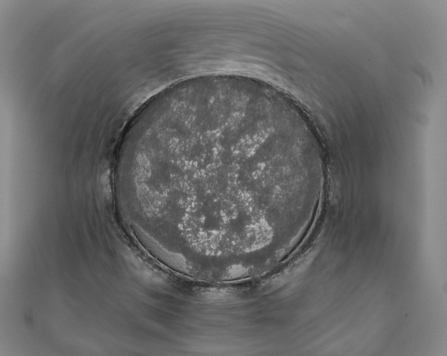 X0000111451497200907271220