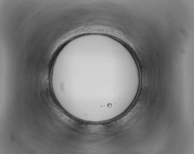 X0000111451498200907271220