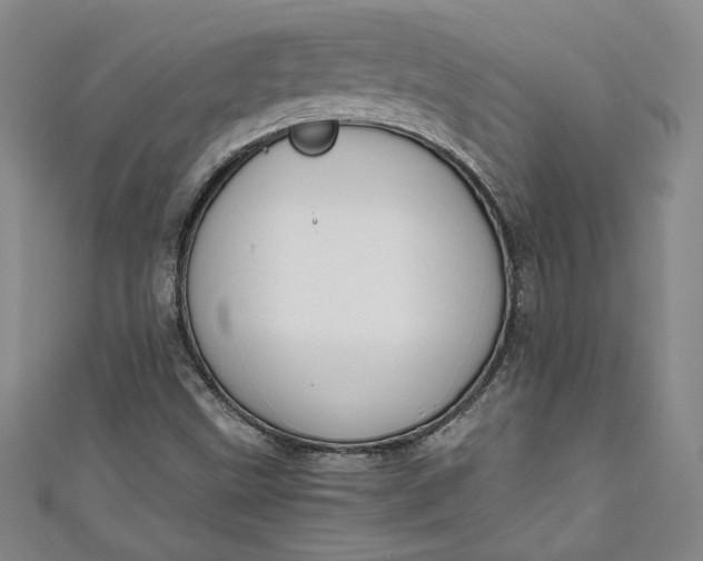 X0000111451499200907271220