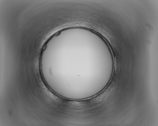 X0000111451500200907271220