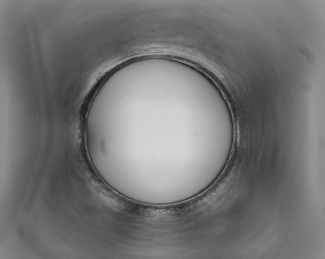 X0000111451501200907271220