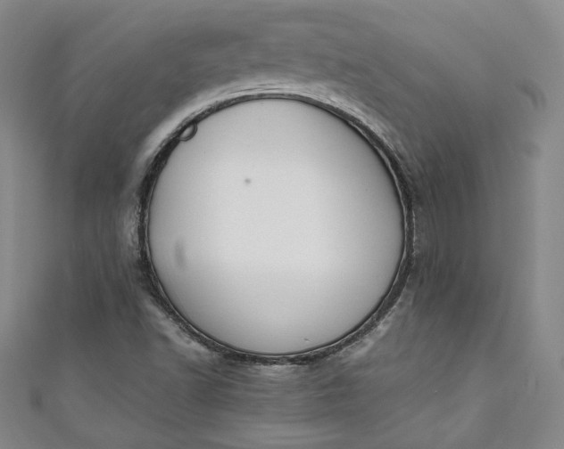 X0000111451502200907271220