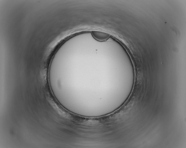 X0000111451503200907271220