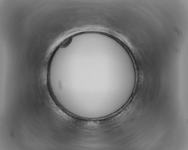 X0000111451504200907271220