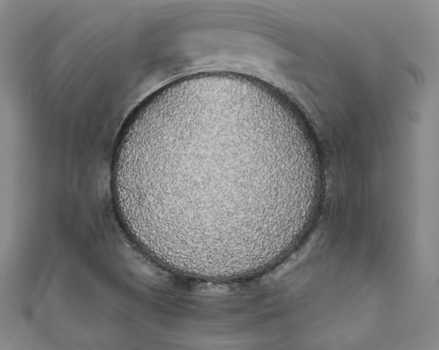 X0000111451505200907271220